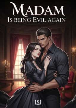 Madam Is Being Evil Again novel cover