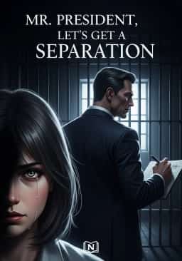 Mr.President, Let's Get a Divorce novel cover